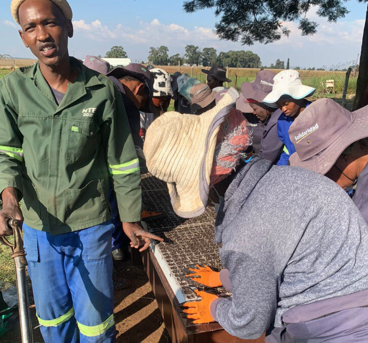 Acquiring work-ready farming skills (Gauteng)