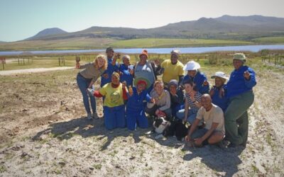 Job creation in the Cape Floral Kingdom (Western Cape)