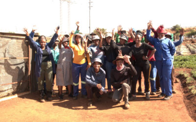 Urban agriculture: A pathway out of poverty (Gauteng)