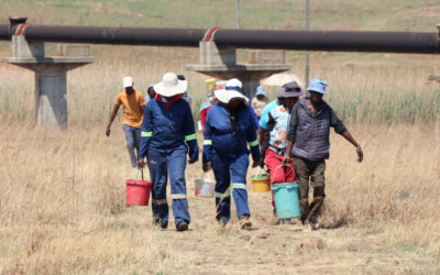 Exit strategies: Employment creation projects must be sustainable