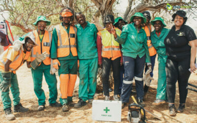 Growing green businesses (Gauteng)