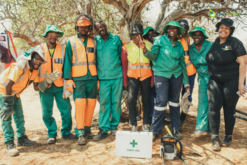 Growing green businesses (Gauteng)