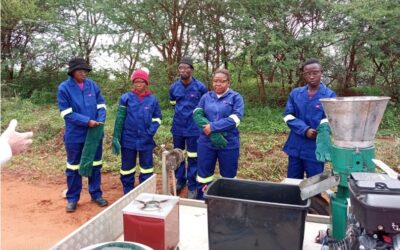 Making animal feed from invasive plants (Limpopo)