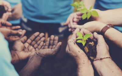 Innovative Strategic Partnerships with Nal’ibali and weFEEDsa on the 27th May 2024 from 10–11:30AM
