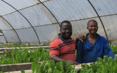 NGO Nexus Aquaponics Empowering Communities through Employment and Nutrition