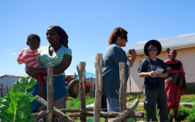 NGO Nexus Micro-enterprise development