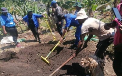 Social Employment as a model for local impact