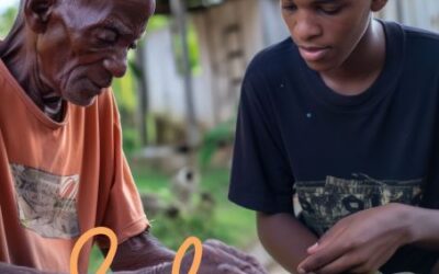 Case Study: Bridging the Digital Divide throughthe SEF